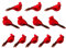 YCHTEWY 12er Set Vogel-Weihnachtsschmuck, Clip-On, Rot, Kunststoff-Metall, 3,5 Zoll, für Weihnachten, Hochzeit, Geburtstag