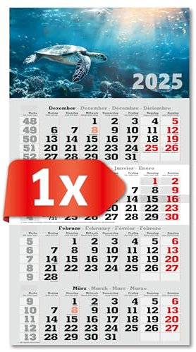 PRIMUS PRINT 4-Monats Einblockkalender 2025 - Wandkalender - Monatskalender mit Schieber - Blockkalender - inklusive Feiertagen - verschiedene Motive, verschiedene Sets - [ 1 x Schildkröte ]
