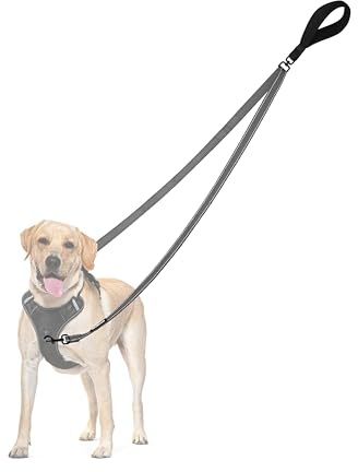 PetBonus Laisse Anti-Traction pour Chien, Double Laisse Anti-Traction réfléchissant, pour l'entraînement et la Marche, pour Chiens de Grande Taille et Moyenne (Gris)