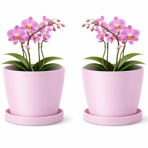 Vasi decorativi in plastica opaca PECZEKO, set di 2 vasi con piedistallo, per piante di qualsiasi dimensione, vaso per erbe, rosa, ø 20 cm
