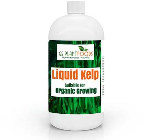 Organic Kelp Fertilizer by GS Plant Foods - Omri Certified (1 Quart) - Kelp Fertilizer for Gardens, Lawns & Soil