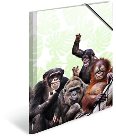 HERMA Sammelmappe A3 Affe, Kinder Eckspanner-Mappe aus Kunststoff mit Tier Motiv, Gummizug, Innenklappen und Innendruck für Jungen und Mädchen