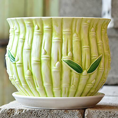 Ceramic Flowerpot Indoor Large Flowerpot with Tray Circular Chlorophytum Creative Simple Green Carrot Meat Indoor Green Table Top Flowerpot