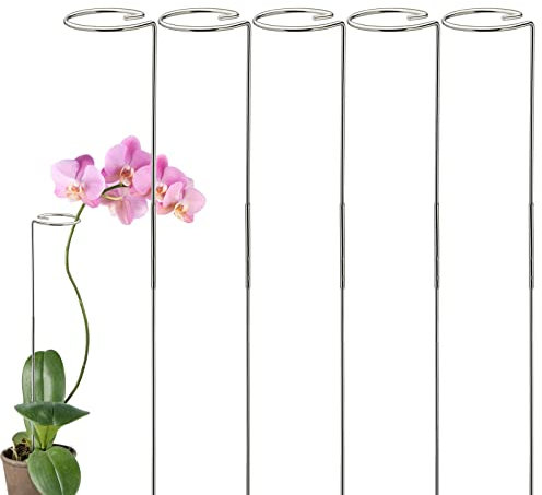 KEEMEN 5 Stück 75 cm Pflanzenstütze, abnehmbare Edelstahl-Pflanzenpfähle, Blumenstützringe, Pflanzenkäfig für Orchideen, Amaryllis, Tulpen, Lilien, Rosen, Pfingstrosen, Tomaten