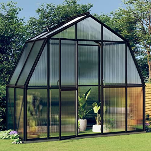 Festnight Gewächshaus Alu Pflanzenhaus Garten Tomatenhaus Frühbeet Aluminium Gewächshaus Glashaus Gewächshaus Treibhaus Winterfest Glasgewächshaus Anthrazit 3,3 m²