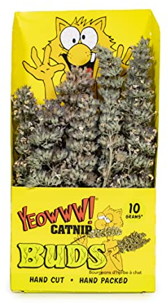 YEOWWW DUC-CTNP-BUDS-10MG