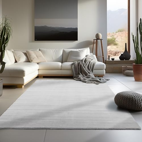 Carpetsale24 Tappeto per Soggiorno 200x290 cm Argento Lavabile, Pelo Corto, Design Moderno, Monocromatico - Tappeto Lavabile Antiscivolo Extra Morbido e Fluffy per Camera da Letto, Cucina