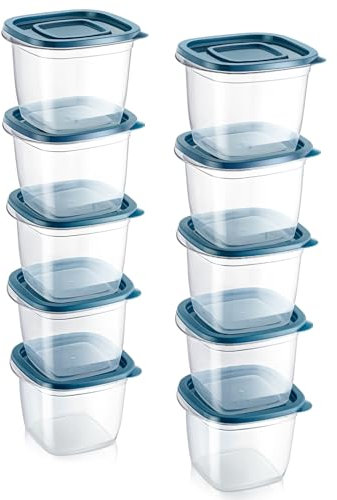 EFISH 10pcs Boîte Rectangulaire En Plastique Avec Couvercle,Boîte De Stockage Des Aliments,Ensemble De Conteneurs,Stockage Des Aliments,Conteneur De Nourriture (10PCS - 650ml)