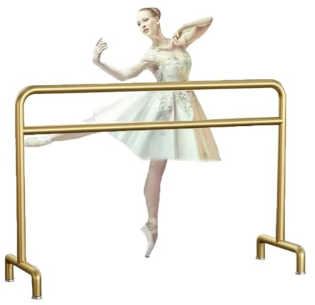 Barre de Ballet Simple en métal doré, adaptée aux Adultes et aux Enfants pour Le Travail des Jambes, Barre d'entraînement Pilates, 1,5 m / 5 pi