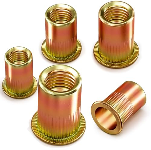 YOOPIN 60 Stück Nietmuttern M10, Verzinkt Blindnietmuttern, Runde Flachkopf Gewindenieten, Einnietmuttern mit Gewinde für Bleche, Elektrogeräte und Industrieprodukte