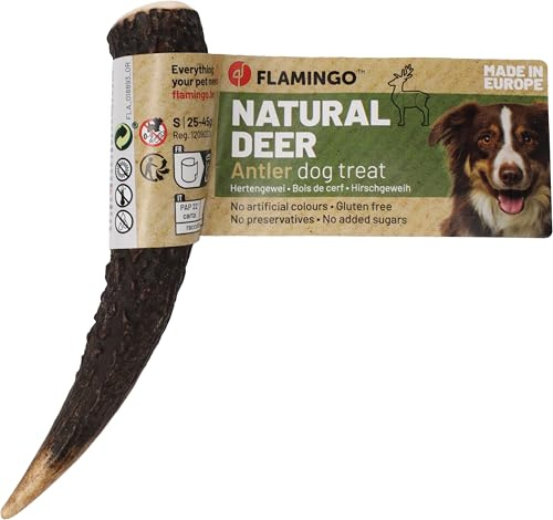 friandise Chien – Snack Nature Bois de cerf Hard – Taille S – 45g – friandise Naturelle à mâcher – Soin Dentaire – Origine Europe