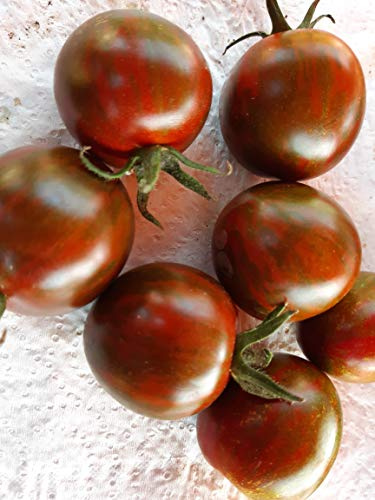 SEMI POMODORO TIGRATO ROSSO TONDO