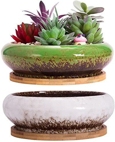 ARTKETTY Lot de 2 grands Pots de Plantes succulentes avec drainage, Pots de bonsaï Peu Profonds avec Plateaux, récipient en céramique pour Plantes de Cactus d'intérieur et d'extérieur