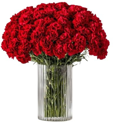 DECOALIVE - Ramo de Clavel - Set 50 Flores Rojas - Bouquet de Flores Naturales