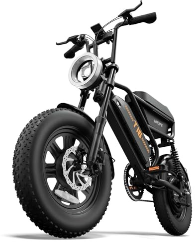 URLIFE de 16 x 3.0 Bicicleta Electrica, Batería Extraíble de 48 V y 13 Ah, Motor Sin Escobillas de 250 W, Autonomía de 100 km, Bici Eléctrica con Doble Suspensión, E Bike para Adultos