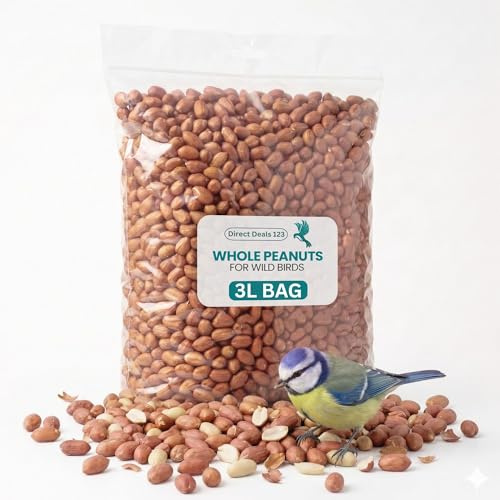 3L Peanuts Whole for Wild Birds Food, Unsalted Nuts for Birds Feed