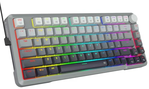 E-YOOSO Rapid Trigger Gaming Keyboard, Hall Effect Magnetic Switch, Adjustable Actuation, 8k Hz Polling Rate, Volume Knob, RGB Backlit, PBT Keycaps, 75% Compact Wired for PC Gamer, Gray/Black