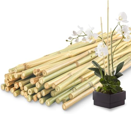 CHEOAR 90cm/30pcs Bamboo Sticks For Plants-Bamboo Canes,Garden Bamboo Canes 3ft Strong Heavy Duty Bamboo Plant Support Garden Canes Poles for Tomato Vegetables Beans Potted Climbing Plants(8-10mm)