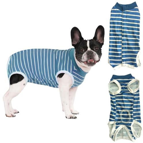 Combinaison chirurgicale pour body chien, body pour chien après stérilisation, combinaison de convalescence pour chien,protection contre les allergies et les plaies (Bleu, L)