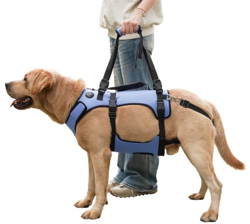 COODEO Imbracatura per Cane, Gilet di Supporto Completo e Recupero, Regolabile e Traspirante, per Cani Anziani, Disabili, con Lesioni Articolari, Artrite e Paralisi. (Blu, L)
