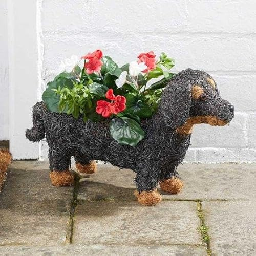 Garden Mile Sausage Dog Plant Pot or Planter, Animal Themed Rattan Flower Pots, Window Sill or Garden pots for Growing Flowers, Herbs. Novelty Rattan Straw Plant Pots for Garden, Patio, Door planters