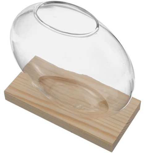 TOYANDONA Station de Multiplication Hydroponique en Verre Transparent avec Socle en Bois Naturel, Vase Terrarium pour Plantes D’intérieur, Support Stable pour Bureau, Maison et Jardin,