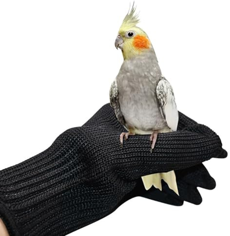 NCONCO 1 paire de gants anti-morsure pour perroquet, entraînement des oiseaux, petits animaux, gants en fil d'acier et gants de protection en fil d'acier (noir)