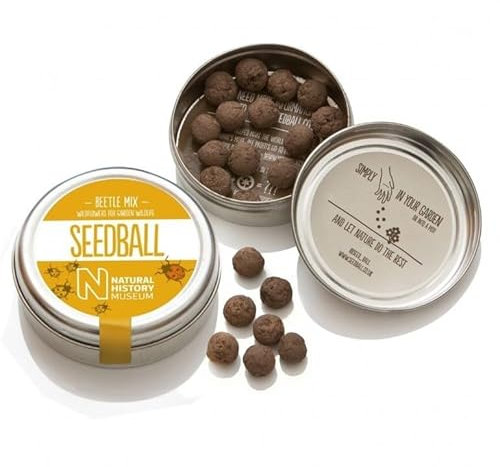 Beetle Mix - mix di semi di fiori di campo Miscela Coccinella, confezione in alluminio