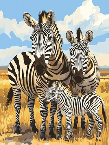 Bimkole 5D Diamond Paintinger För Vuxna Zebra, Full Borrmålning Gör-det-själv Strass Broderi Set Färg Med Diamanter Kit Djur Korsstygn Hem Vägg Hantverk Dekoration 30x40 cm