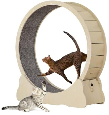 Katze-Übungsrad, 35.4 Zoll Katze-Räder für Innenkatzen, vielseitiges Katze-Laufrad-Laufband mit abnehmbarem Teppich für Gewichtverlust und Gesundheit der Katze, natürliche Holzfarbe (M)