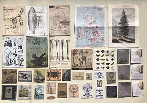 Aesthetic Stickers for Journaling and Scrapbooking, Retro Anatomy Ephemera Paper, DIY Collage Kit Embellishments, Vision Board Supplies for Adults, Vintage Scrapbook Pack