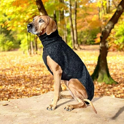 EDEL&SCHNELL Hundemantel wasserdicht, Woll-Wintermantel für Ridgebacks, Dalmatiner, Weimaraner und andere schlanke Rassen, Hunde Wintermantel Größe 45-50