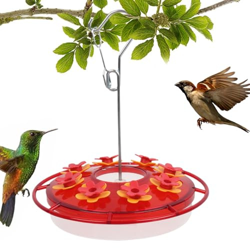 Gazocua Distributore di cibo per colibrì per uso esterno, a prova di perdite, a forma di piattino, per colibrì, per esterni, giardino, terrazza, balcone e