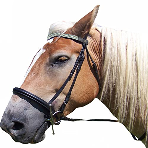 Saddles World Fancy Black Leather Center Light Blue & White Pearl with Clear Crystals Browband Horse Bridle - Full Size