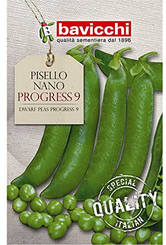Bavicchi semi Pisello nano progress 250g