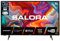 SALORA Smart TV 40 Zoll, Fernseher mit 40 Zoll HD Display Android Smart TV, DVB-T2/S2 HEVC 10 Tuner | WLAN, Netflix | Energieeffizienzklasse F LED | Schwarz