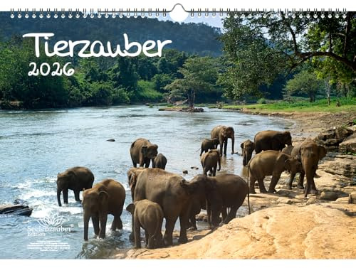 Calendario DIN A3 para 2026 animales diferentes Seelenzauber