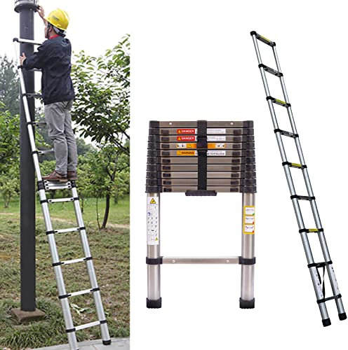 Échelle télescopique en Acier Inoxydable, 2,6 m en Acier de qualité supérieure - Solide et Robuste - Antidérapante - Extensible - Charge maximale: 150 kg, EN131