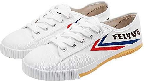 PENXZT Kampfsportschuhe Unisex Tai-Chi Sneakers Shaolin Mönch Kampfsportschuhe Mode Qigong Trainerss,Weiß,40 EU