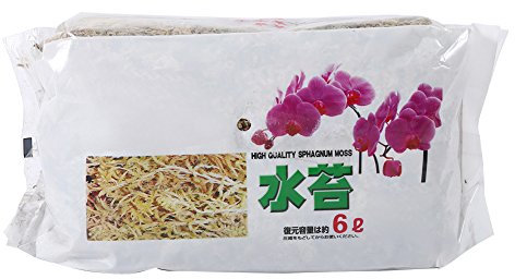 Mousse de Sphaigne 6L, Bonne Rétention d'eau et Ventilation avec Nutrition pour Orchidée Phalaenopsis