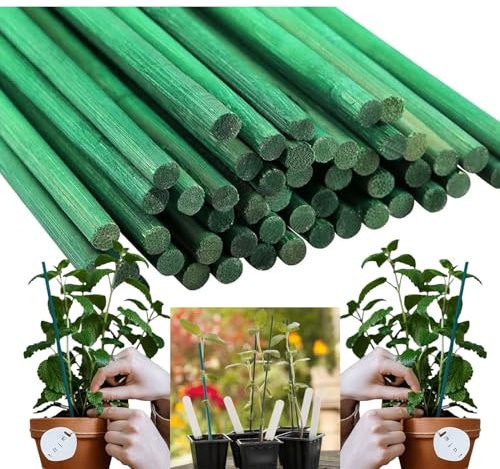 60cm Bamboo Flower Support Sticks – Natural, Eco-Friendly Plant Stakes for Gardening, Pack of 50, 24 Inches, Sturdy Plant Support for Flowers, Vines, and Climbing Plants