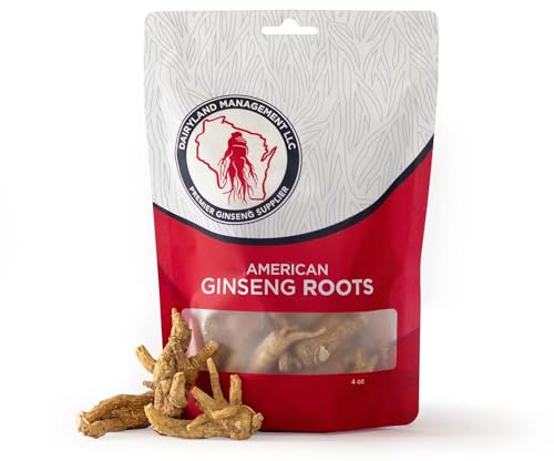 Helt naturlig ren amerikansk ginseng hel rot (icke-GMO, glutenfri ört) (4 oz)