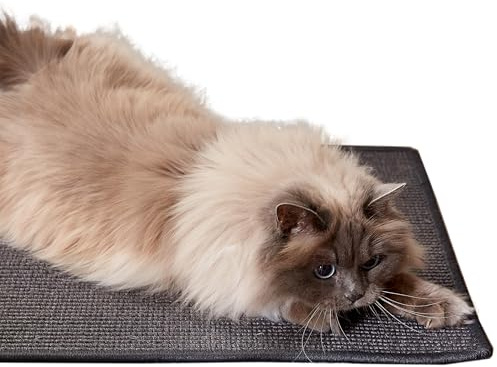 Carpido Klösmatta för katter – dörrmatta sisal klösmatta – naturlig sisalmatta robust – av 100 % sisal – färg : antracit 30 x 40 cm