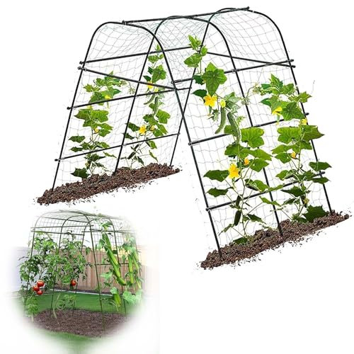 Traliccio da giardino per cetrioli e piselli, 160 x 120 cm, supporto per piante in acciaio con 4 archi, ideale per piante rampicanti e verdure, rete da giardino durevole