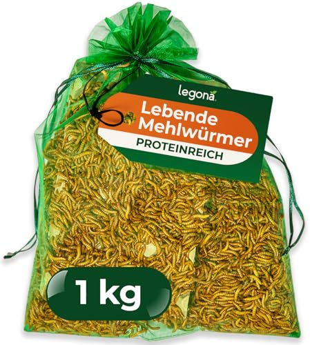 Legona Mehlwürmer lebend 1 kg - Futterinsekten für Terrariumtiere und Hühner - Tenebrio Molitor Larven - In Thermobox verpackt, kühl lagerbar
