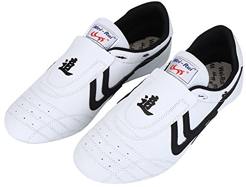 Scarpe Taekwondo, Scarpe Leggere Boxe Kung Fu Taichi Sneaker per Arti Marziali per Taekwondo, Boxe, Kung Fu e Taichi(42)