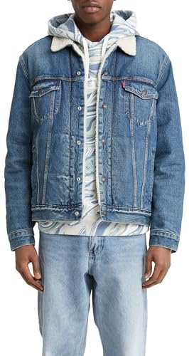 Levi's Type 3 Sherpa Trucker Veste Homme, Fable, XL