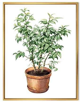 DesignQ Ficus Benjamina In Clay Flowerpot - Traditional Framed Canvas Wall Art Print