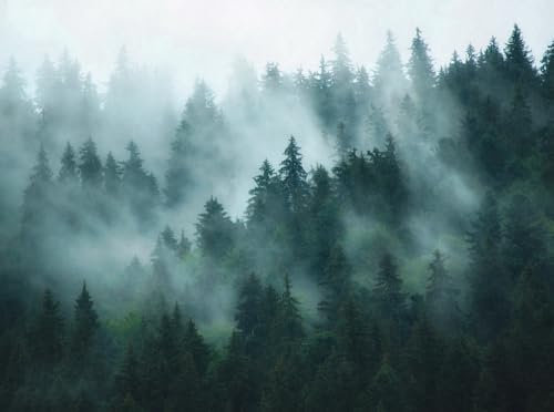 Livingwalls WTD 398981 - Carta da parati fotografica in tessuto non tessuto naturale, 3,71 m x 2,80 m, colore: Verde petrolio