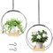 YHNDECO 2 Stück Blumenampel Hängend Innen, Schwarz Metall Blumentopf Hängeampel mit Holzsockel, Hängeampel Blumen, Hängepflanzen Topf fur Zimmerpflanzen Sukkulenten Luftpflanzen Kaktus
